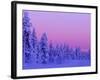 Sunset in the Lappish Winter, Finland-Daisy Gilardini-Framed Photographic Print