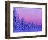 Sunset in the Lappish Winter, Finland-Daisy Gilardini-Framed Photographic Print