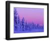 Sunset in the Lappish Winter, Finland-Daisy Gilardini-Framed Photographic Print