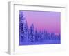 Sunset in the Lappish Winter, Finland-Daisy Gilardini-Framed Photographic Print