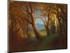 Sunset in the Nebraska Territory-Albert Bierstadt-Mounted Giclee Print