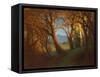 Sunset in the Nebraska Territory-Albert Bierstadt-Framed Stretched Canvas