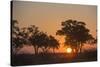 Sunset in the Savuti marsh, Botswana, Africa-Sergio Pitamitz-Stretched Canvas