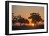 Sunset in the Savuti marsh, Botswana, Africa-Sergio Pitamitz-Framed Photographic Print