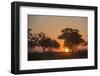 Sunset in the Savuti marsh, Botswana, Africa-Sergio Pitamitz-Framed Photographic Print