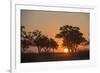 Sunset in the Savuti marsh, Botswana, Africa-Sergio Pitamitz-Framed Photographic Print