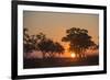 Sunset in the Savuti marsh, Botswana, Africa-Sergio Pitamitz-Framed Photographic Print