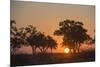 Sunset in the Savuti marsh, Botswana, Africa-Sergio Pitamitz-Mounted Photographic Print