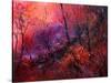 Sunset In The Wood-Pol Ledent-Stretched Canvas