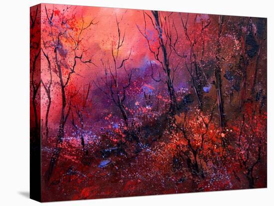 Sunset In The Wood-Pol Ledent-Stretched Canvas