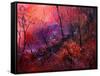 Sunset In The Wood-Pol Ledent-Framed Stretched Canvas