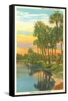 Sunset in Tropical Florida, Myakka River State Park-null-Framed Stretched Canvas