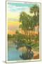 Sunset in Tropical Florida, Myakka River State Park-null-Mounted Art Print