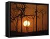 Sunset in Tropical Rainforest after Destruction by Fire, Brazil-Martin Dohrn-Framed Stretched Canvas