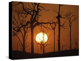 Sunset in Tropical Rainforest after Destruction by Fire, Brazil-Martin Dohrn-Stretched Canvas