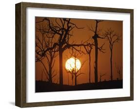 Sunset in Tropical Rainforest after Destruction by Fire, Brazil-Martin Dohrn-Framed Photographic Print