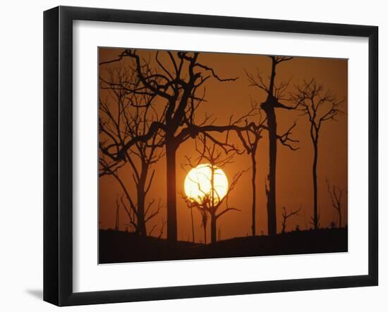 Sunset in Tropical Rainforest after Destruction by Fire, Brazil-Martin Dohrn-Framed Photographic Print