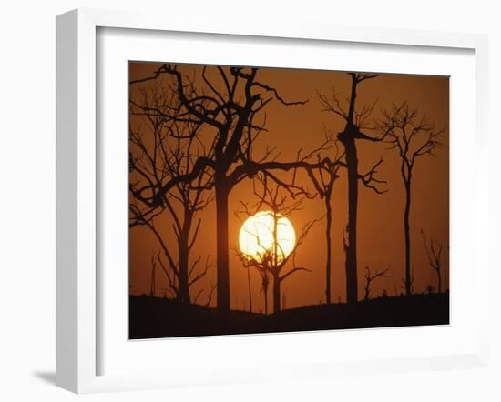 Sunset in Tropical Rainforest after Destruction by Fire, Brazil-Martin Dohrn-Framed Photographic Print
