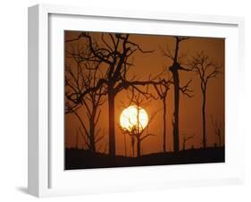 Sunset in Tropical Rainforest after Destruction by Fire, Brazil-Martin Dohrn-Framed Photographic Print