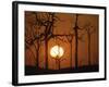 Sunset in Tropical Rainforest after Destruction by Fire, Brazil-Martin Dohrn-Framed Photographic Print