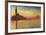 Sunset In Venice-Claude Monet-Framed Art Print