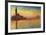 Sunset In Venice-Claude Monet-Framed Art Print