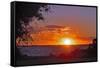 Sunset in Williamsburg, Cobham Bay-Martina Bleichner-Framed Stretched Canvas