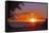 Sunset in Williamsburg, Cobham Bay-Martina Bleichner-Framed Stretched Canvas