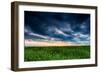 Sunset in Yellow Rapeseed Field-Oleg Saenco-Framed Photographic Print