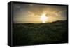 Sunset, Ireland, Kinsale, Old Head of Kinsale-Benjamin Engler-Framed Stretched Canvas