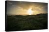 Sunset, Ireland, Kinsale, Old Head of Kinsale-Benjamin Engler-Stretched Canvas