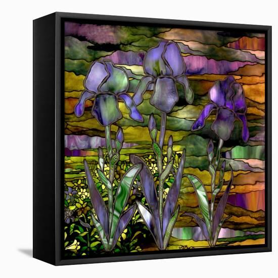Sunset Irises-Mindy Sommers-Framed Stretched Canvas