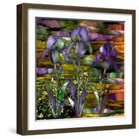 Sunset Irises-Mindy Sommers-Framed Giclee Print