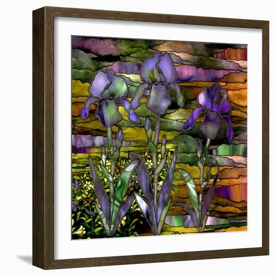 Sunset Irises-Mindy Sommers-Framed Giclee Print