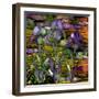 Sunset Irises-Mindy Sommers-Framed Giclee Print