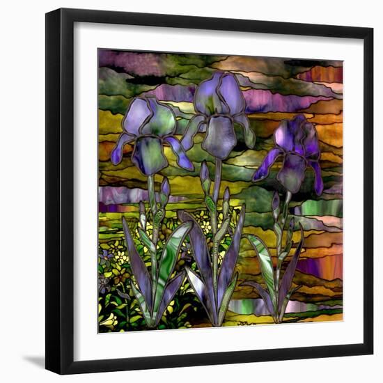 Sunset Irises-Mindy Sommers-Framed Giclee Print