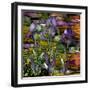Sunset Irises-Mindy Sommers-Framed Giclee Print
