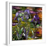 Sunset Irises-Mindy Sommers-Framed Giclee Print