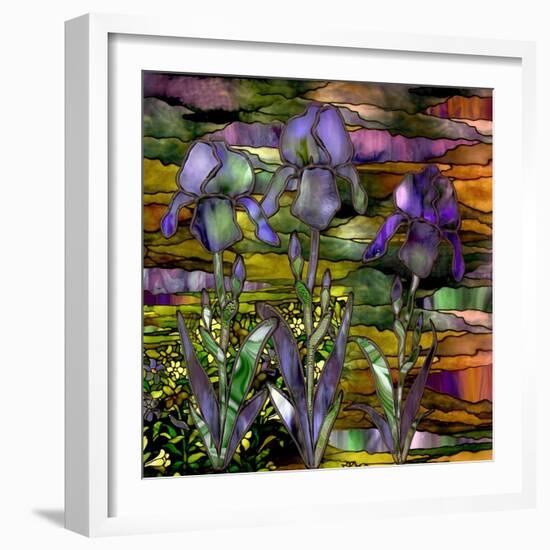 Sunset Irises-Mindy Sommers-Framed Giclee Print