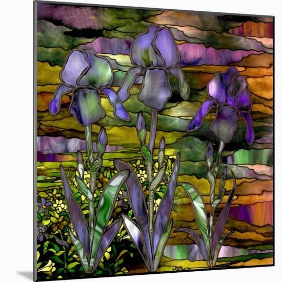 Sunset Irises-Mindy Sommers-Mounted Giclee Print