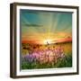 Sunset Is In The Field-nadiya_sergey-Framed Art Print