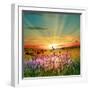 Sunset Is In The Field-nadiya_sergey-Framed Art Print