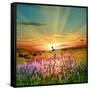 Sunset Is In The Field-nadiya_sergey-Framed Stretched Canvas