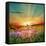 Sunset Is In The Field-nadiya_sergey-Framed Stretched Canvas