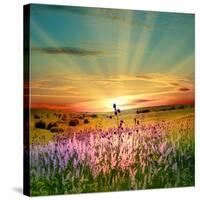 Sunset Is In The Field-nadiya_sergey-Stretched Canvas