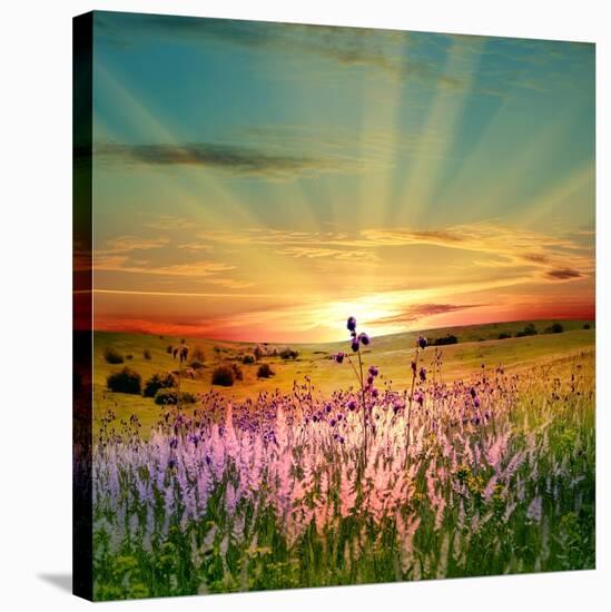 Sunset Is In The Field-nadiya_sergey-Stretched Canvas
