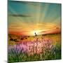 Sunset Is In The Field-nadiya_sergey-Mounted Premium Giclee Print