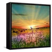 Sunset Is In The Field-nadiya_sergey-Framed Stretched Canvas