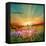 Sunset Is In The Field-nadiya_sergey-Framed Stretched Canvas