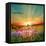 Sunset Is In The Field-nadiya_sergey-Framed Stretched Canvas